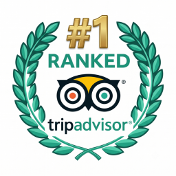 Tripadvisor